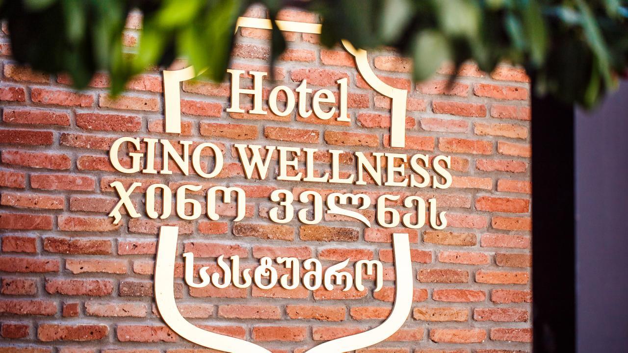 Hotel Gino Wellness Mtsʼkhetʼa Εξωτερικό φωτογραφία