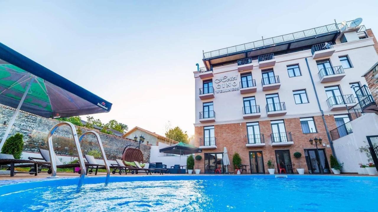 Hotel Gino Wellness Mtsʼkhetʼa Εξωτερικό φωτογραφία